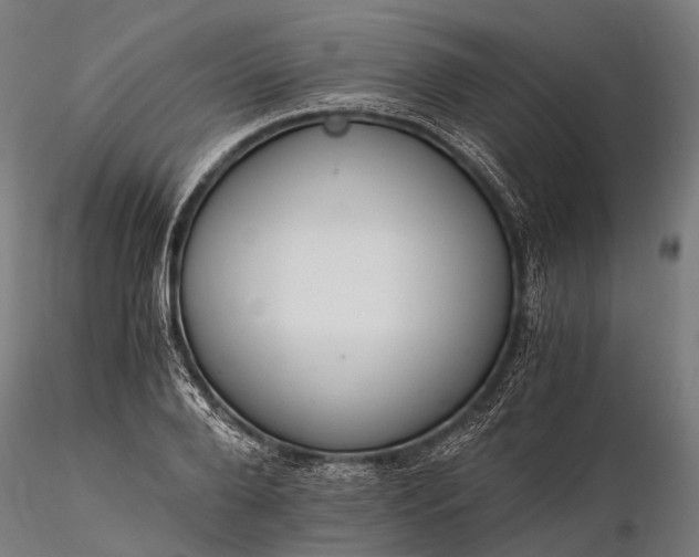 X0000116390888200912161522