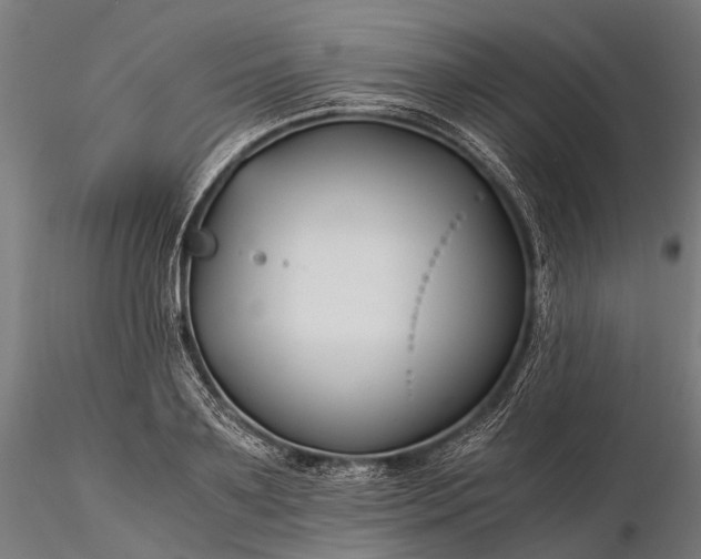 X0000116390891200912161522
