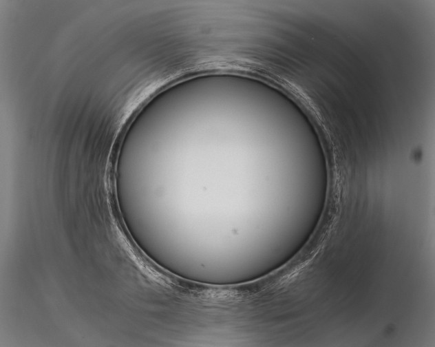 X0000116390893200912161522