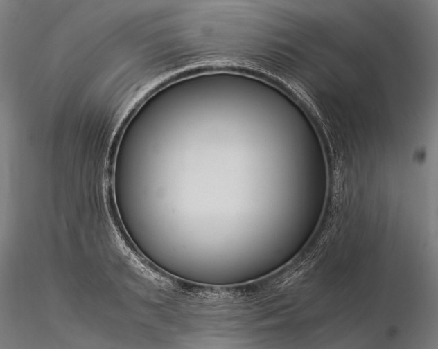 X0000116390895200912161521