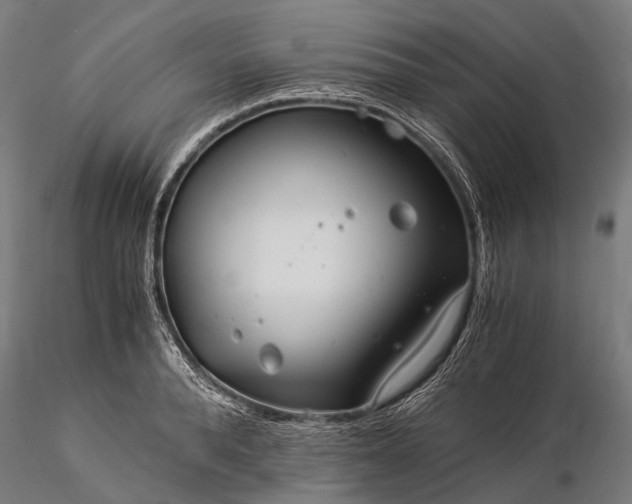 X0000116390896200912161521