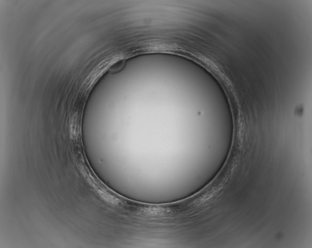 X0000116390897200912161521