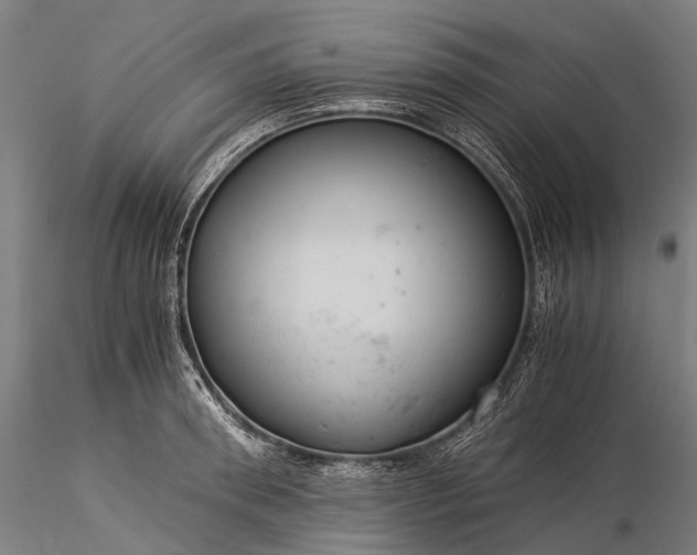 X0000116390898200912161521