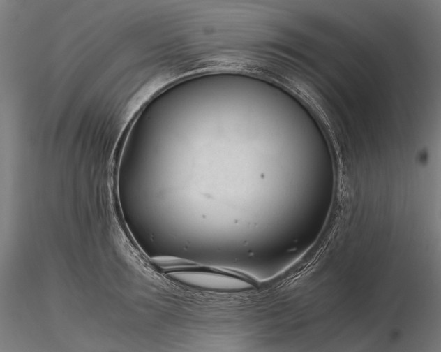 X0000116390899200912161521