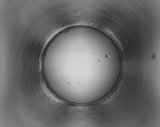 X0000116390900200912161521