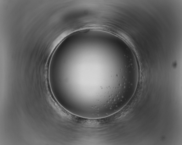 X0000116390907200912161521