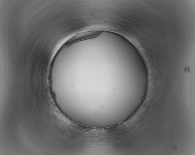 X0000116390912200912161521