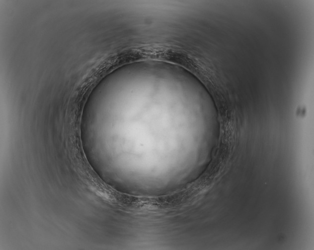 X0000116390913200912161520