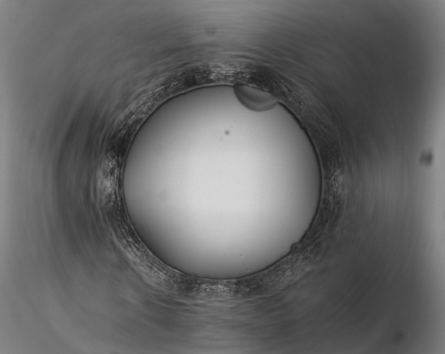 X0000116390914200912161520