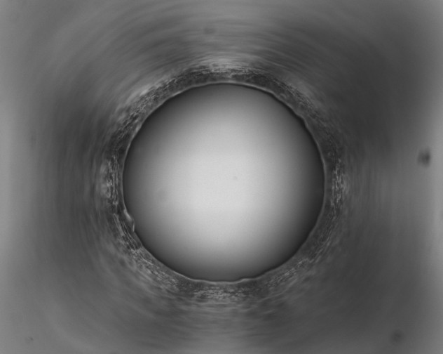 X0000116390917200912161520