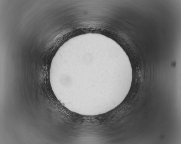 X0000116390918200912161520