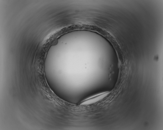 X0000116390919200912161521
