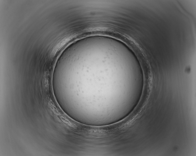 X0000116390921200912161521