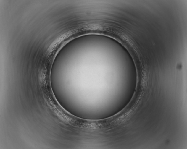 X0000116390922200912161521