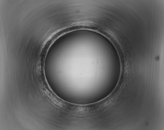 X0000116390923200912161521