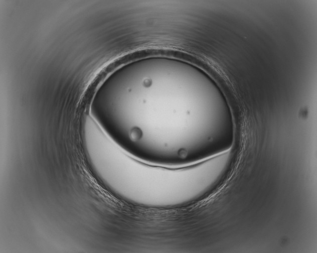 X0000116390926200912161521
