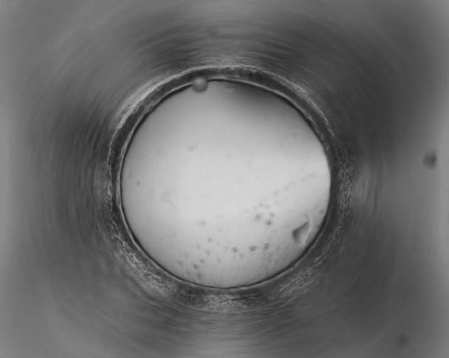 X0000116390927200912161521
