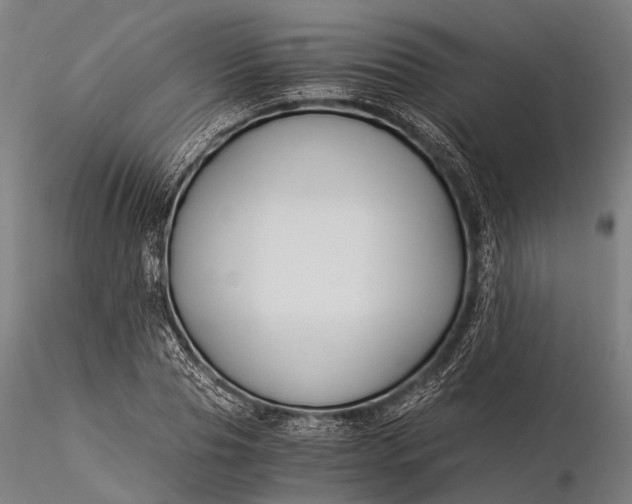 X0000116390929200912161521
