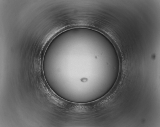 X0000116390933200912161521