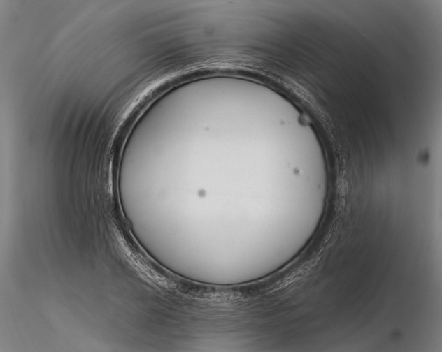X0000116390934200912161521