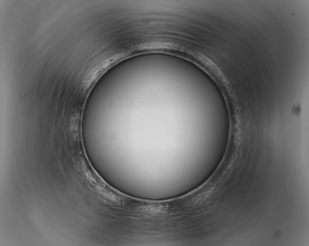 X0000116390937200912161521