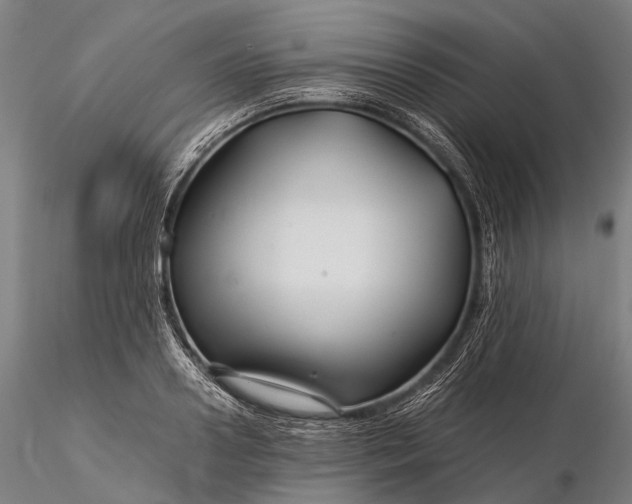 X0000116390938200912161521