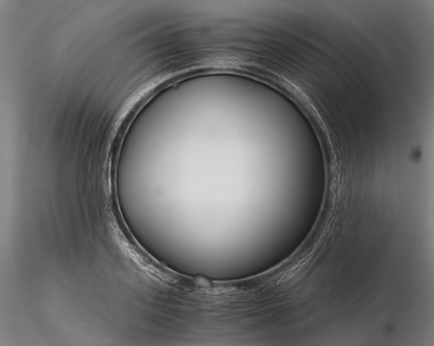 X0000116390939200912161521