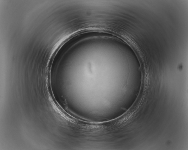 X0000116390941200912161521