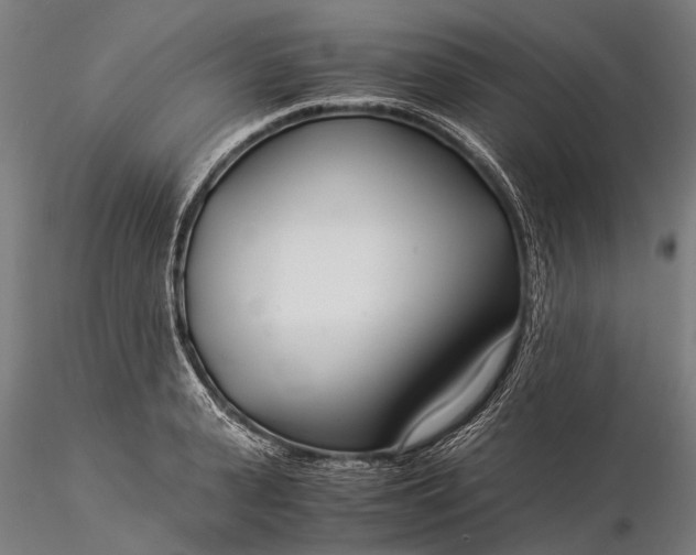 X0000116390943200912161521