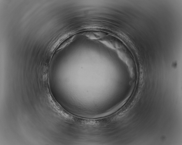 X0000116390945200912161521