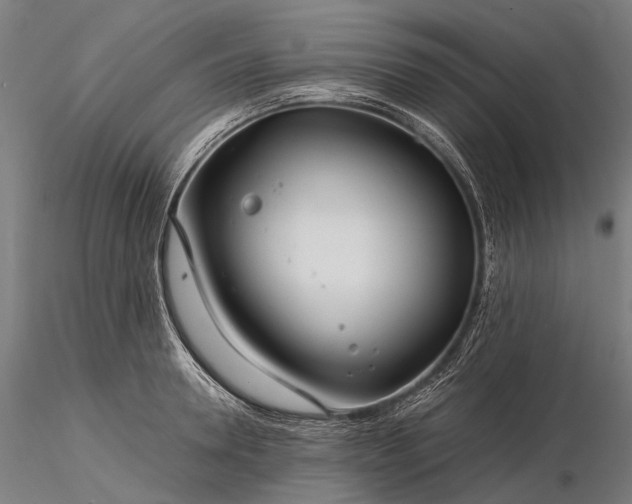 X0000116390946200912161521