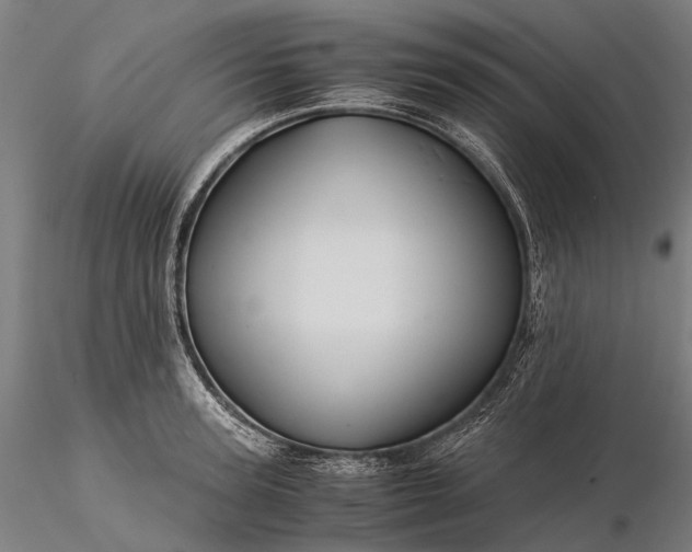 X0000116390947200912161521