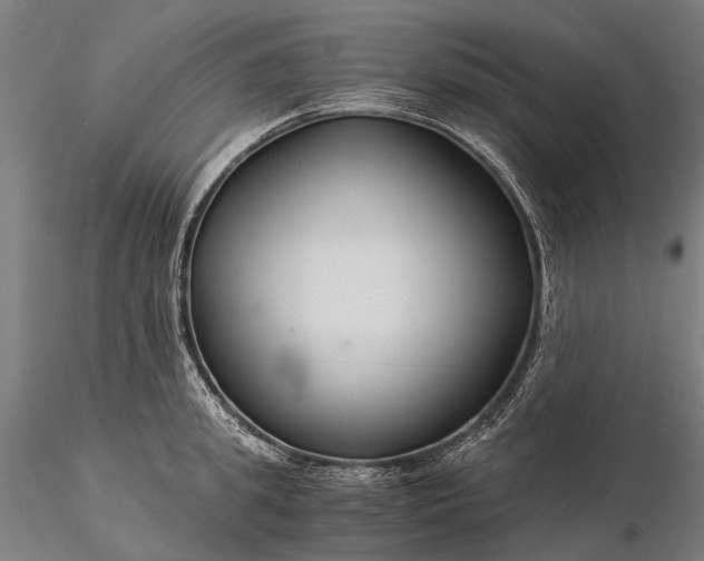 X0000116390949200912161521