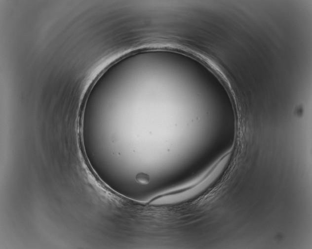 X0000116390951200912161521