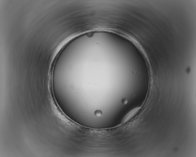 X0000116390955200912161521