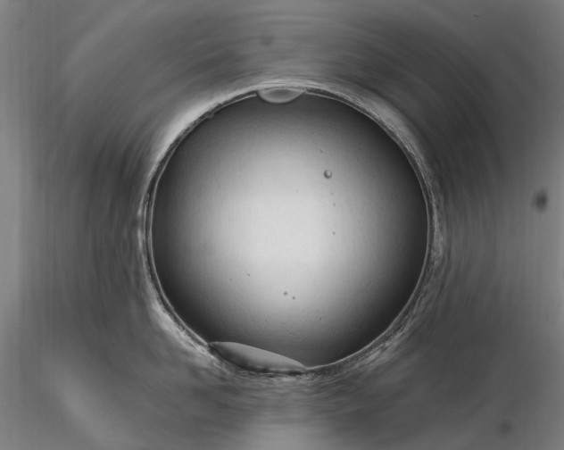 X0000116390958200912161521