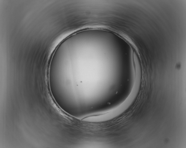 X0000116390959200912161521