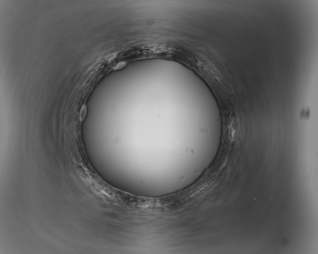 X0000116390961200912161520