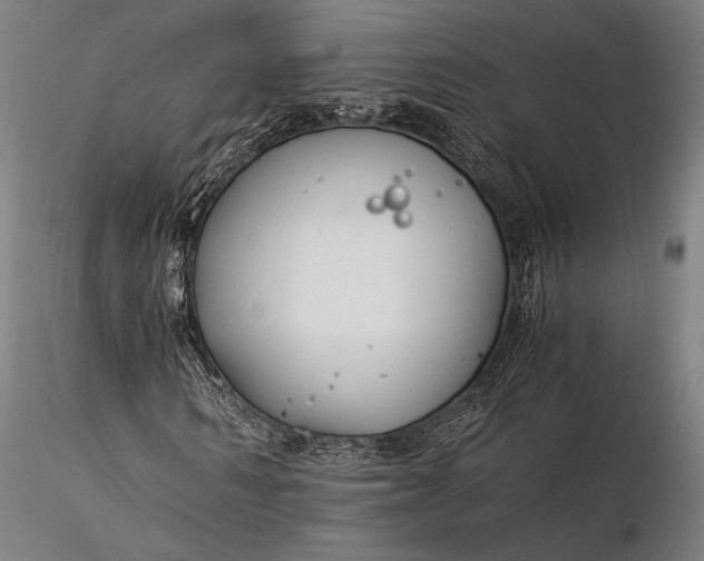 X0000116390962200912161520