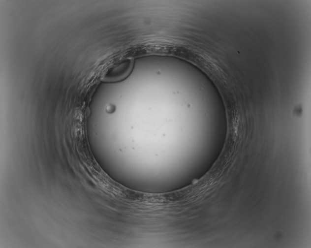 X0000116390964200912161520