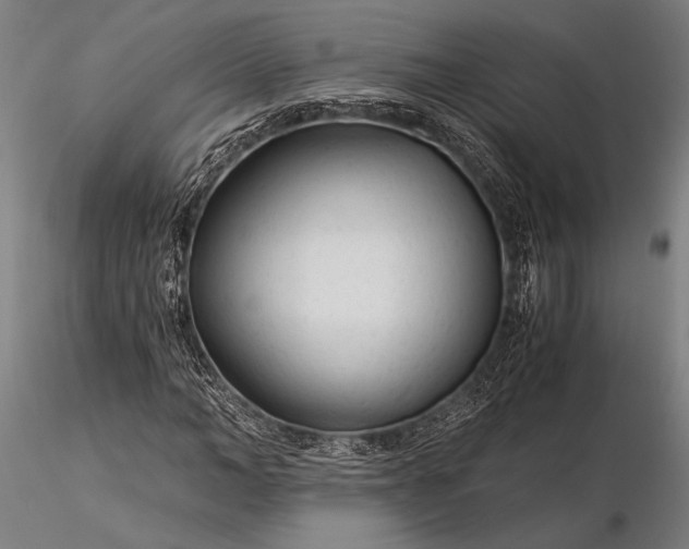 X0000116390966200912161520