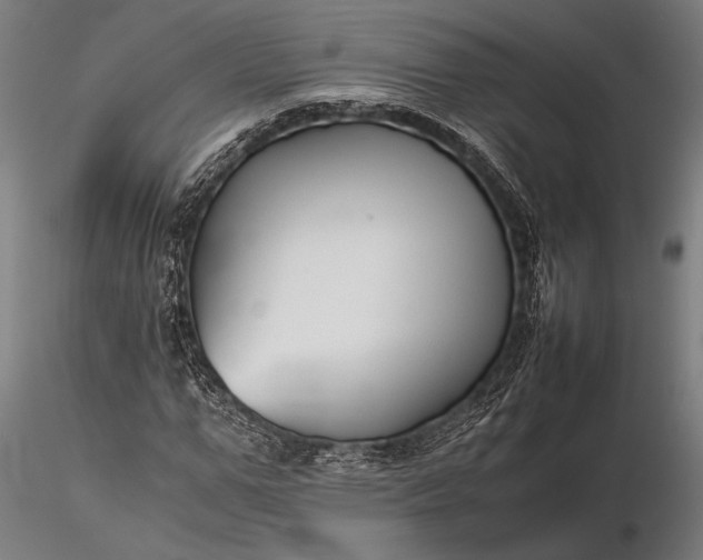 X0000116390967200912161520