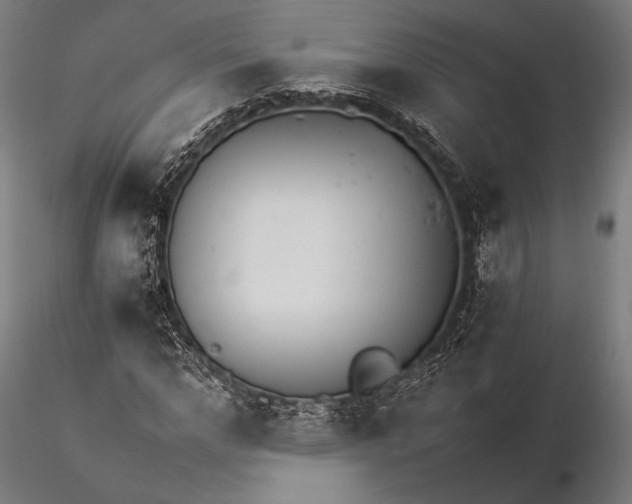 X0000116390968200912161520