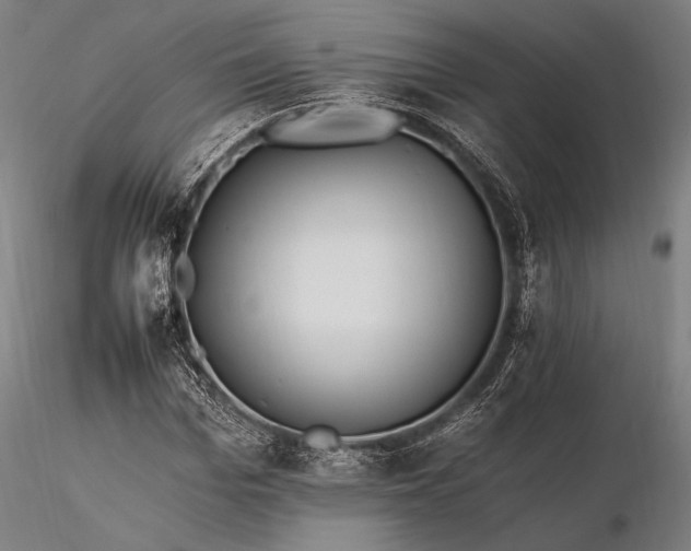 X0000116390969200912161520