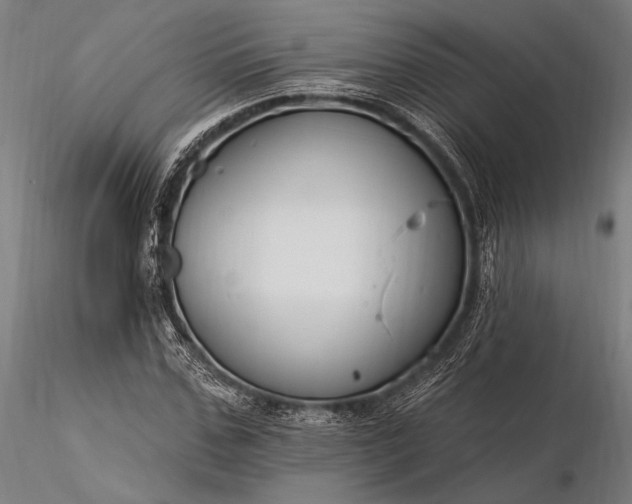 X0000116390971200912161520