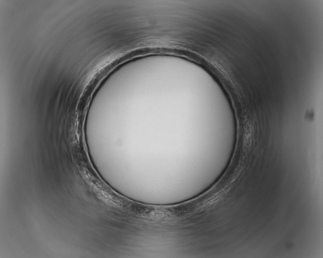 X0000116390974200912161520
