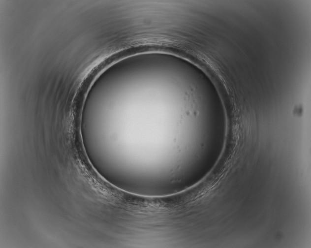 X0000116390975200912161520