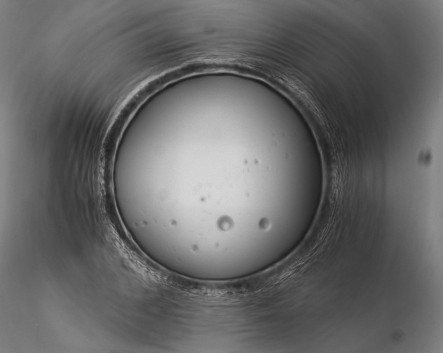 X0000116390976200912161520