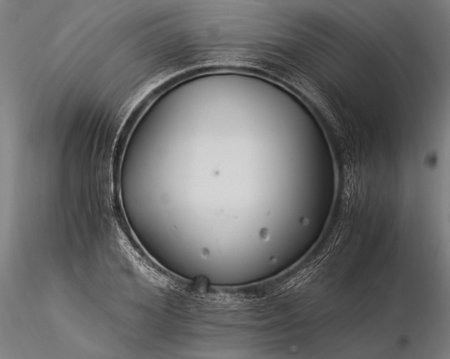 X0000116390980200912161520