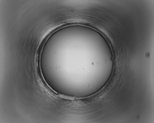 X0000116390983200912161520